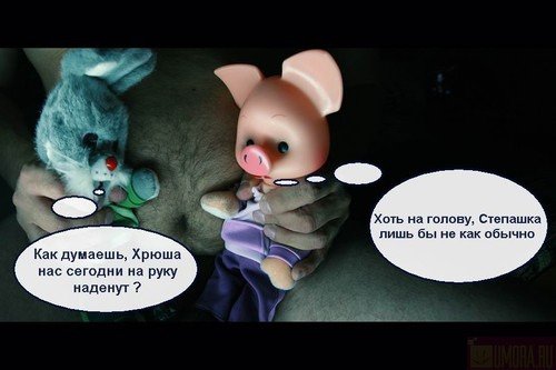 Приколы про Хрюшу и Степашку