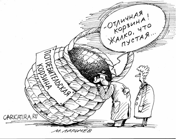 Уровень жизни карикатура