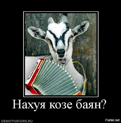 Коза с баяном