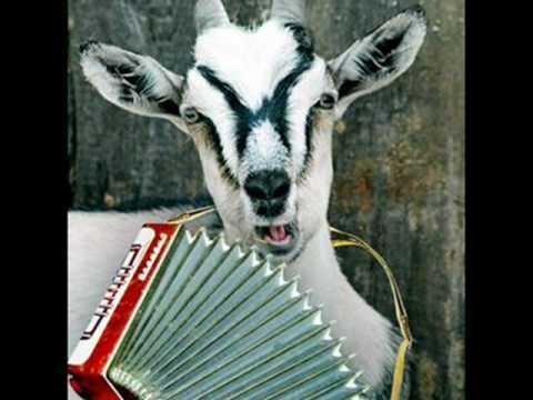 На фига козе баян продолжение