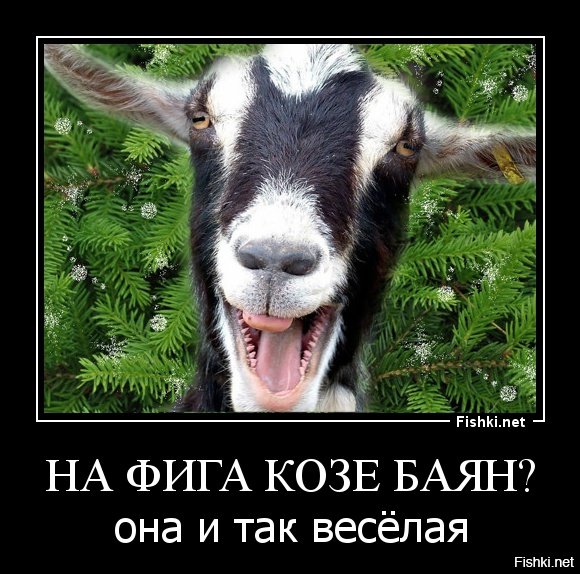 Коза с баяном