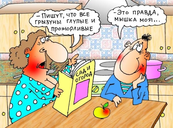 Муж и жена карикатура
