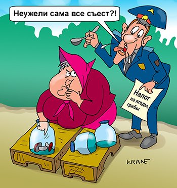 Налоговый инспектор карикатура