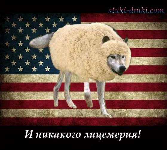 Волк в овечьей шкуре фразеологизм