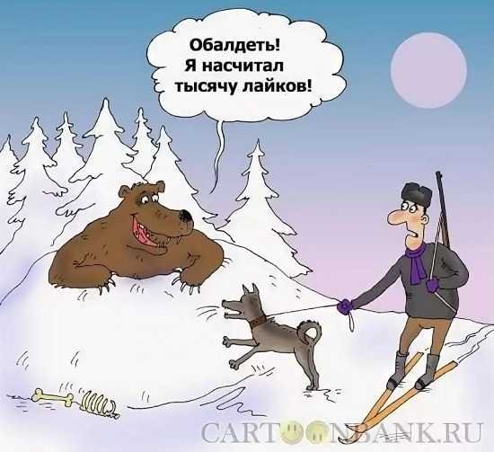 Медведь охотник юмор
