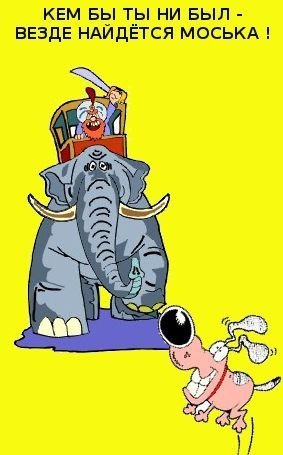 Моська лает на слона