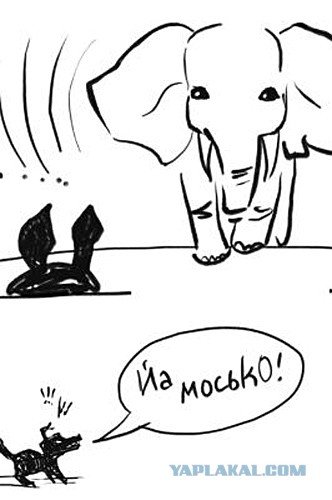 Моська карикатура