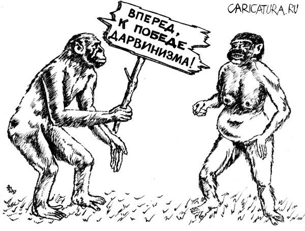 Чарльз Дарвин обезьяна