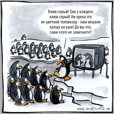 Цитаты про лапшу на ушах