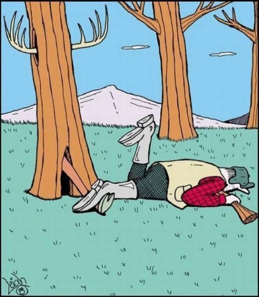 Карикатуры про охоту