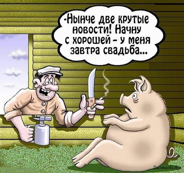 Карикатуры смешные