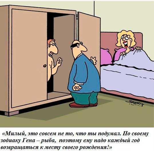 Карикатура шкаф купе