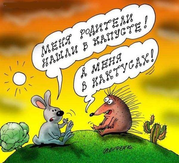 Анекдот про ежа