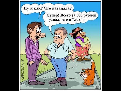 Элитная коллекция юмора