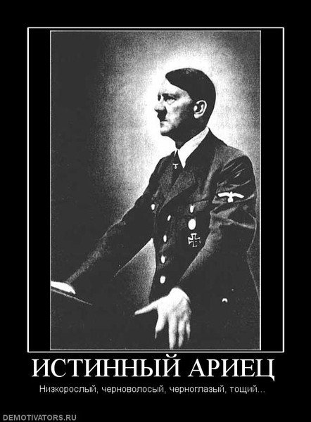 Славяне и арийцы внешность