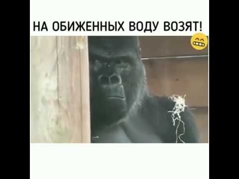 Открытка на обиженных воду возят