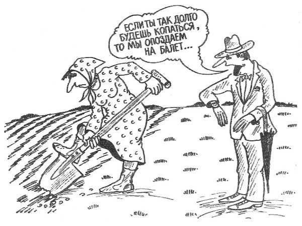 Точность вежливость королей