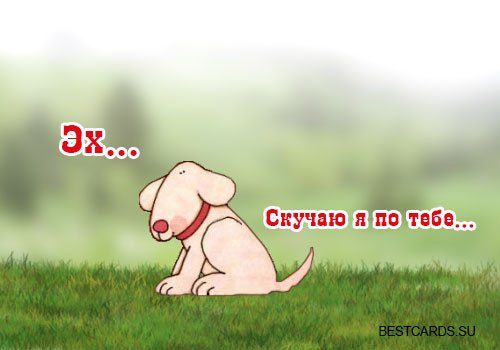 Открытки я скучаю по тебе прикольные