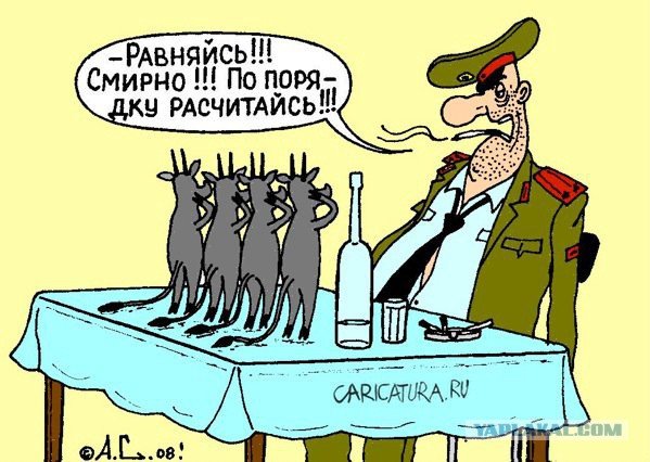 Карикатуры про белку