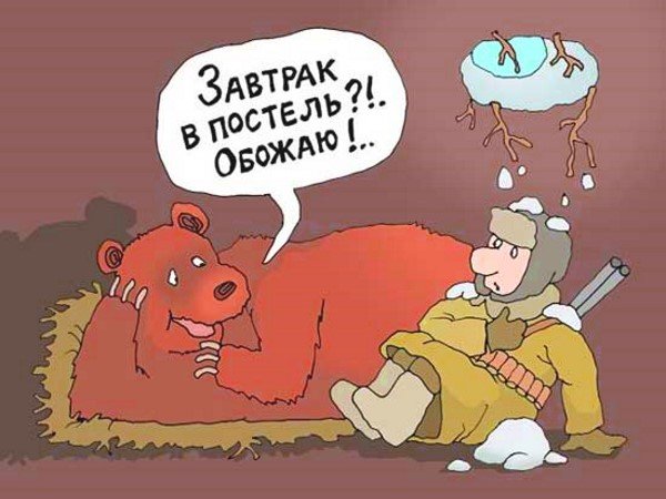 Медведь карикатура