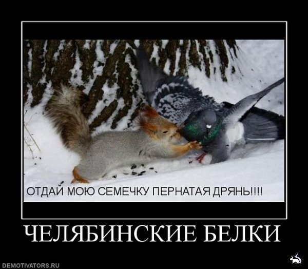 Добрые Веселые карикатуры