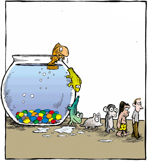 Эволюция карикатура