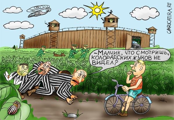 Колорадский Жук юмор