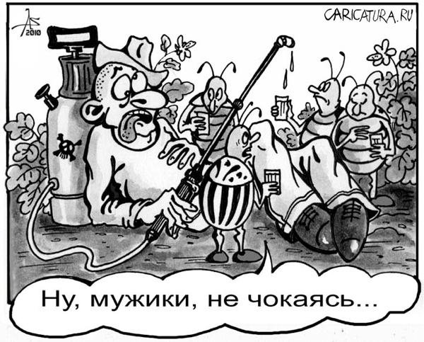 Колорадский Жук карикатура