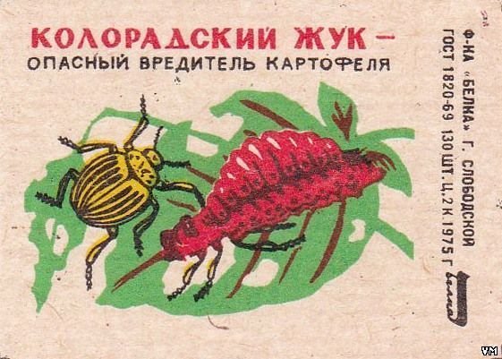 Колорадский Жук флаг США