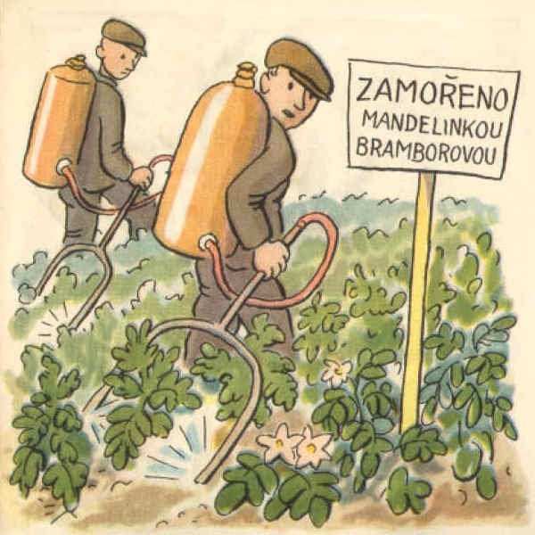 Лукашенко и колорадский Жук