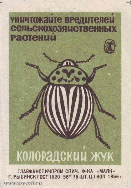 Колорадская ленточка