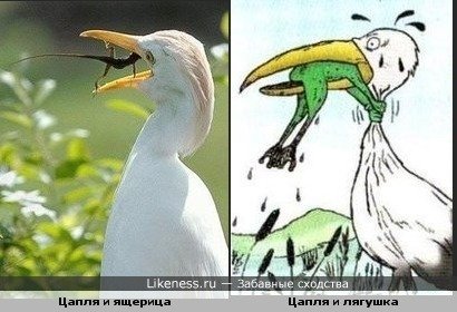 Никогда не сдавайся рисунок