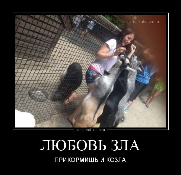 Любовь зла я люблю козла