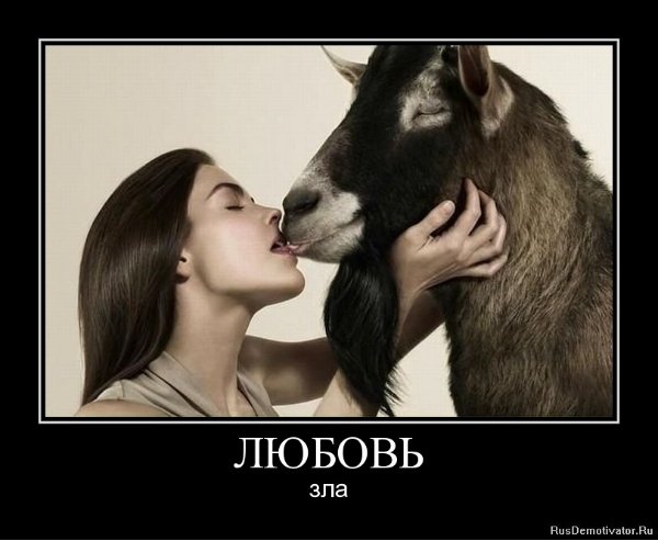 Шутки про козла