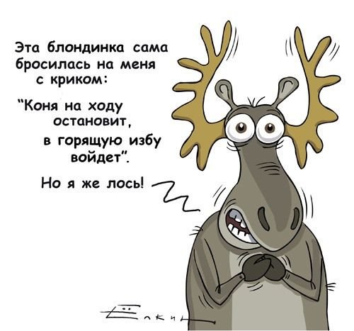 Шутки про лося