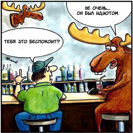 Лось прикол