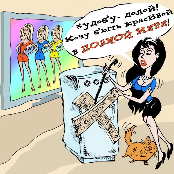 Идеальная жена карикатура