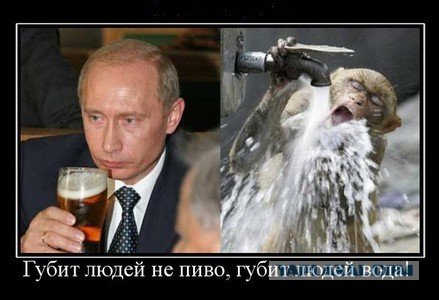Губит людей не пиво губит людей вода