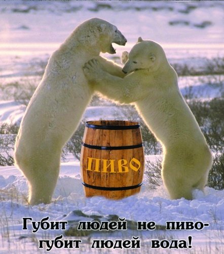 Губит людей не пиво губит людей вода