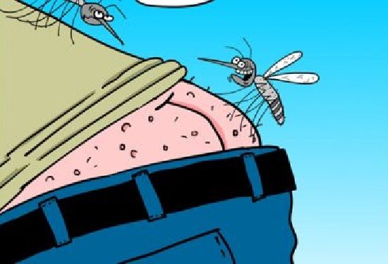 Смешной комар