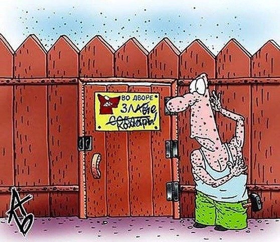 Борьба с комарами карикатура