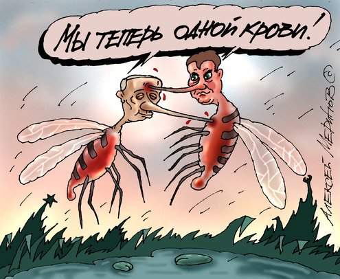 Путин и комар