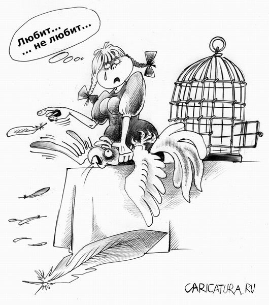 Шутки про царевну лягушку