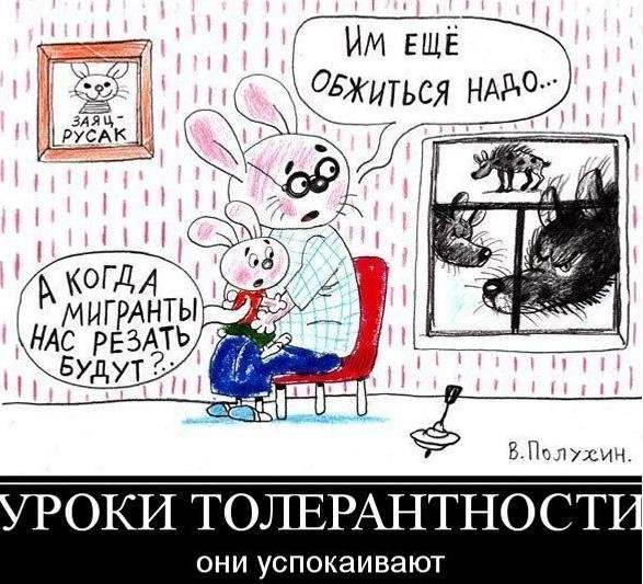 Шутки про толерантность