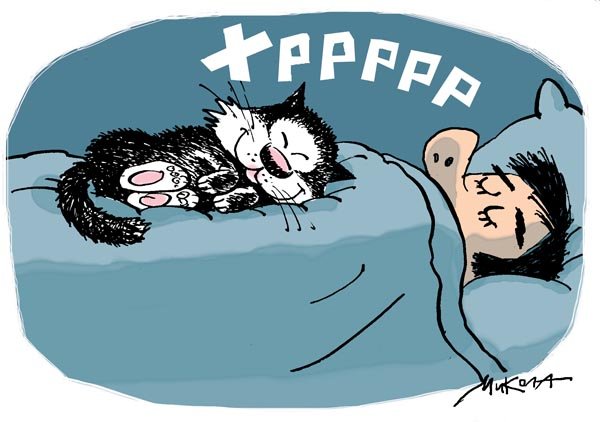 Ночь карикатура