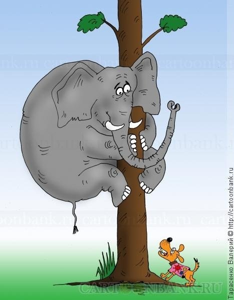 Испуганный слон