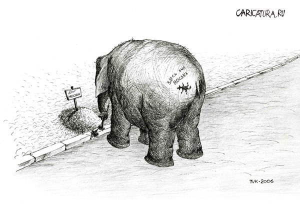 Слон и осел