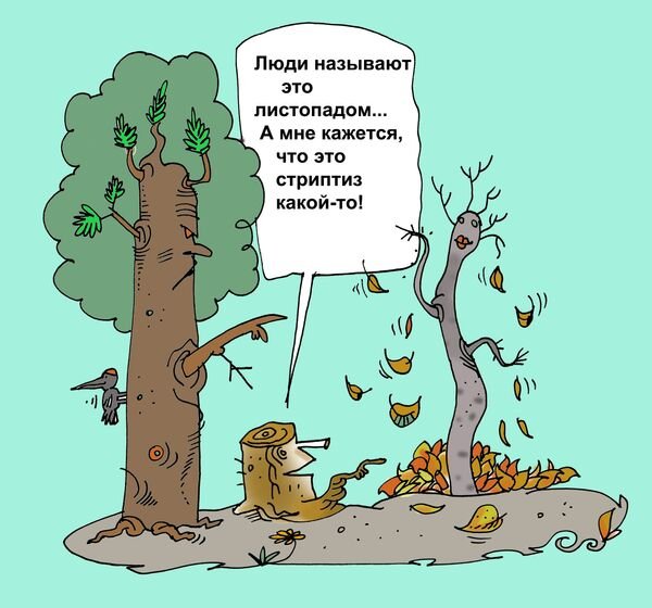 Художник карикатура