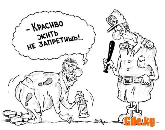 Руслан Валитов карикатура