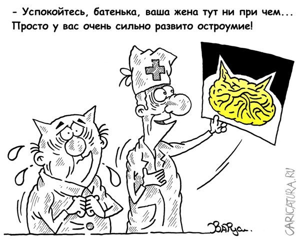 Карикатурист Руслан Валитов